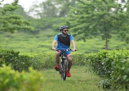 Cycling through tea gardens near Kaziranga