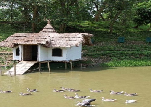 Duckery experience at Vaani Greens Kaziranga