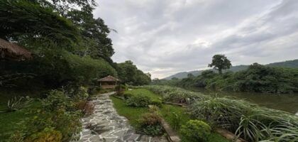 Kaziranga wildlife holiday near Vaani Greens Resort