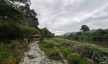Kaziranga wildlife holiday near Vaani Greens Resort
