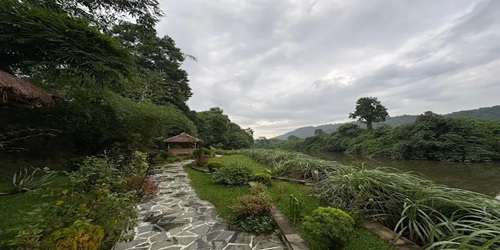 Kaziranga wildlife holiday near Vaani Greens Resort
