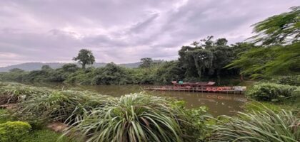 Vaani Greens Kaziranga Wildlife Resort nature stay
