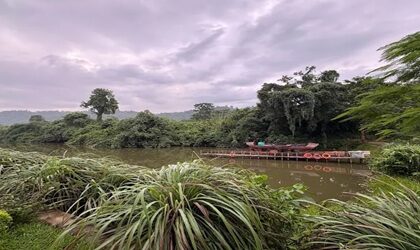 Vaani Greens Kaziranga Wildlife Resort nature stay