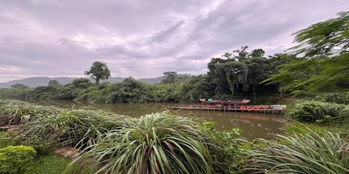 Vaani Greens Kaziranga Wildlife Resort nature stay